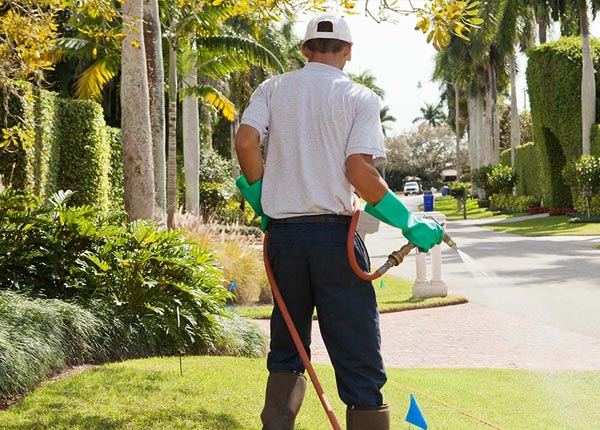 About Columbiaville MI Pest Control